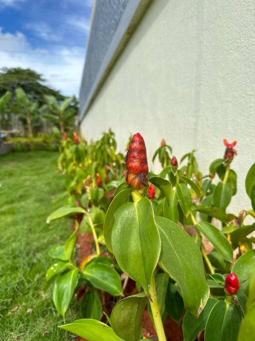 Krishna Homes Bangalore Ngoại thất bức ảnh